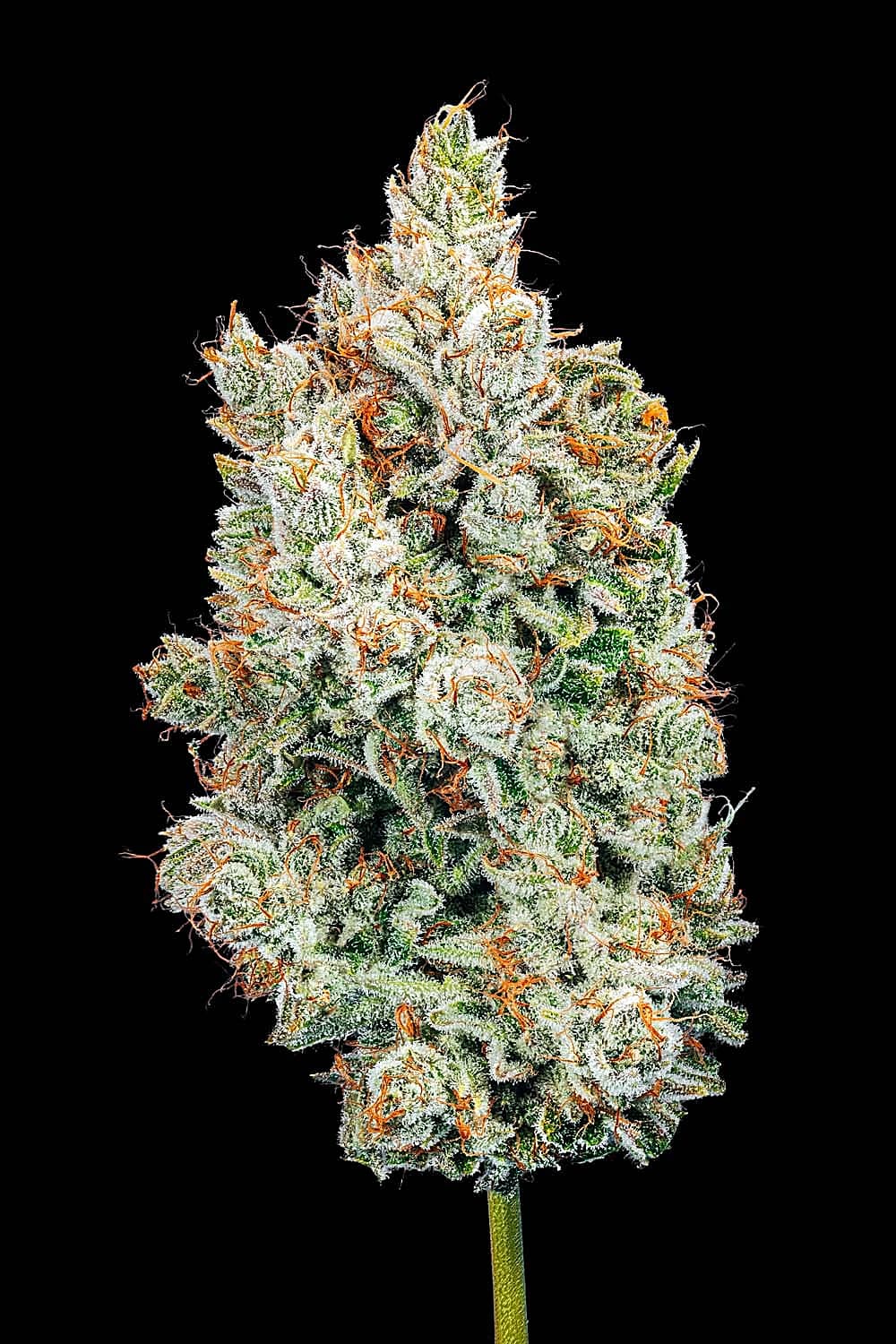 Greenade